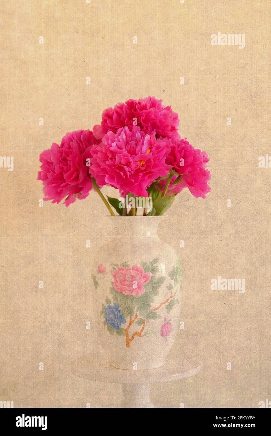 Peony è il fiore nazionale della Cina Foto Stock