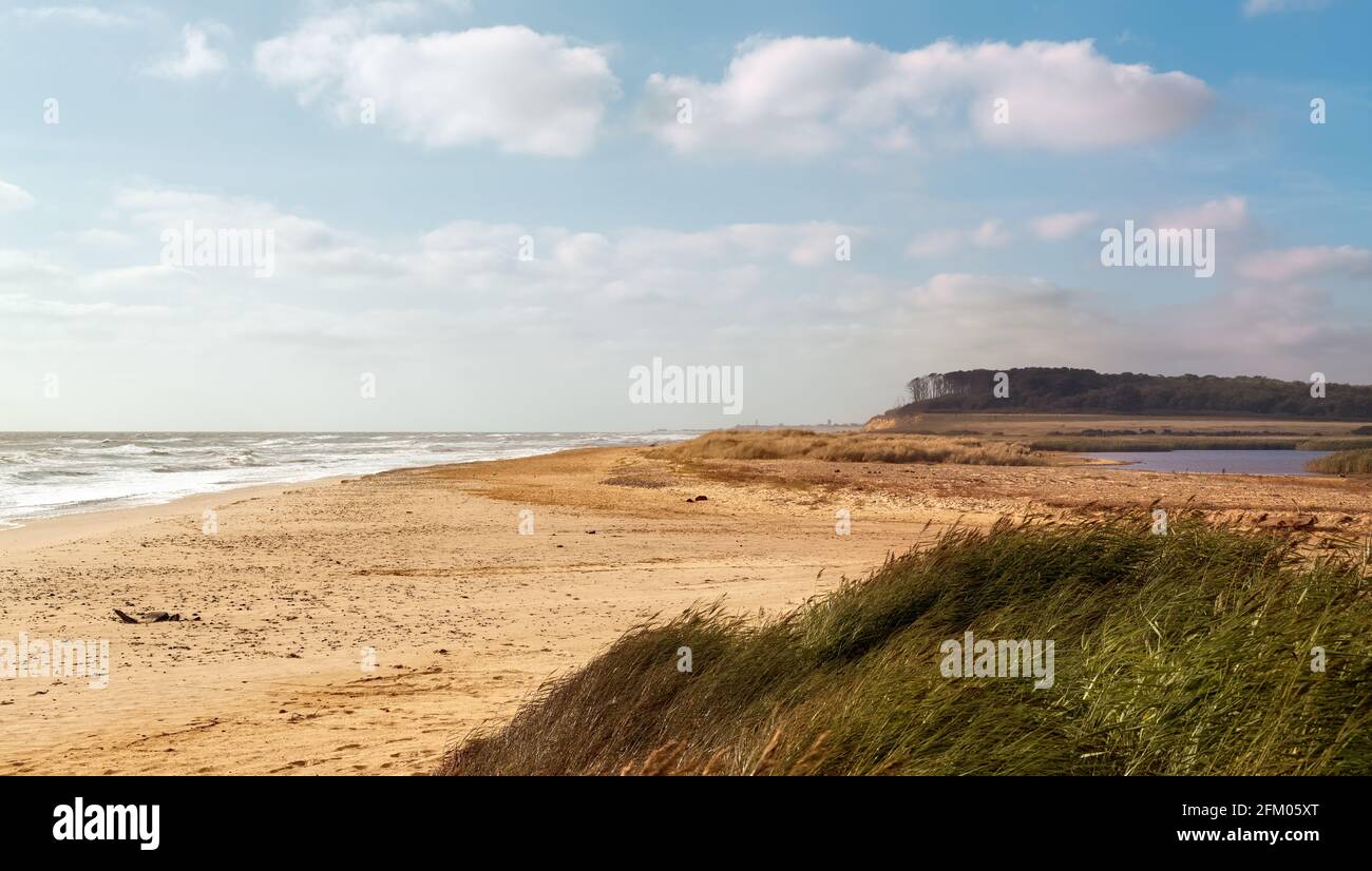 Spiaggia di Covethitthe, Suffolk, Inghilterra Foto Stock
