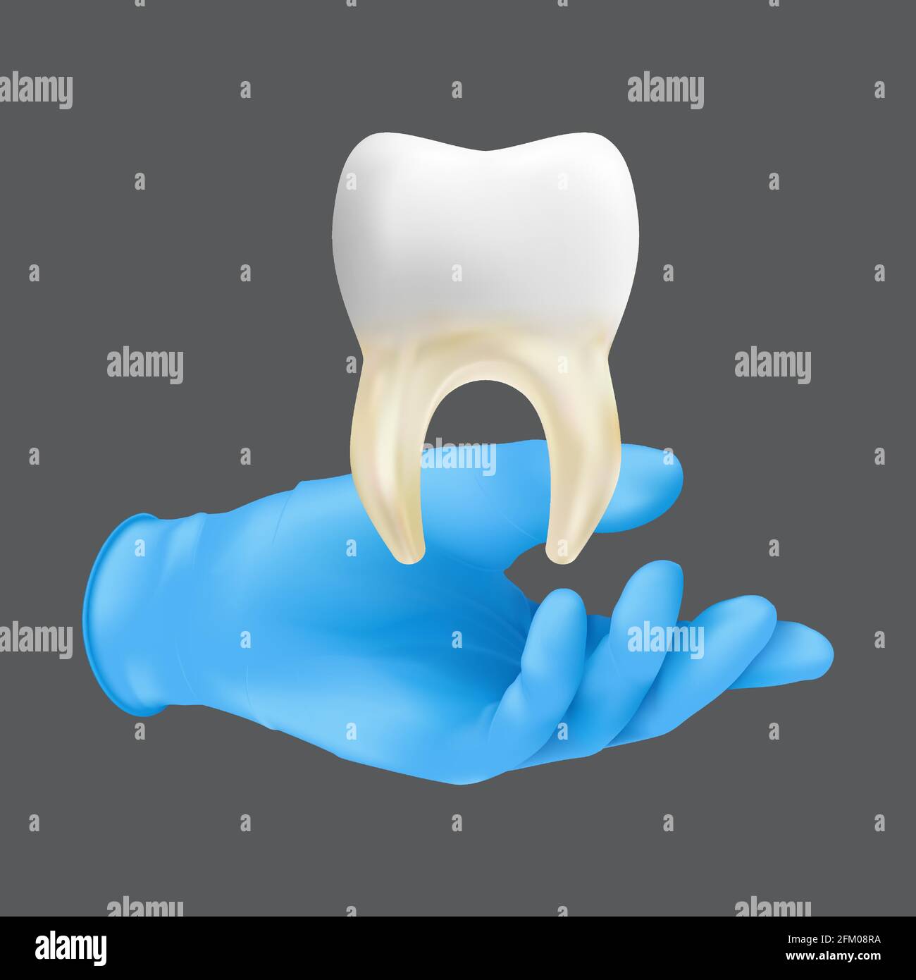 Mano dentista che indossa guanto chirurgico protettivo blu che tiene un modello ceramico del dente. rappresentazione vettoriale 3d realistica di ossa e tessuto molle gra Illustrazione Vettoriale