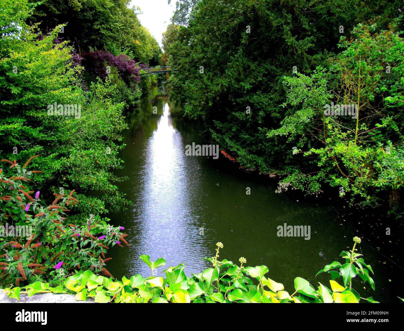 Vista lungo il fiume Eure, Chartres, dipartimento Eure-et-Loir, regione Centro, Francia, Europa Foto Stock