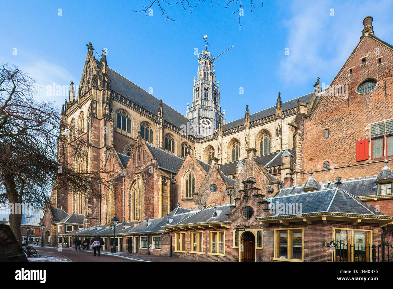 La cattedrale di St. Bavokerk in stile gotico, chiamata anche Grote Kerk, Haarlem, il quartiere di Amsterdam, l'Olanda del Nord, i Paesi Bassi Foto Stock