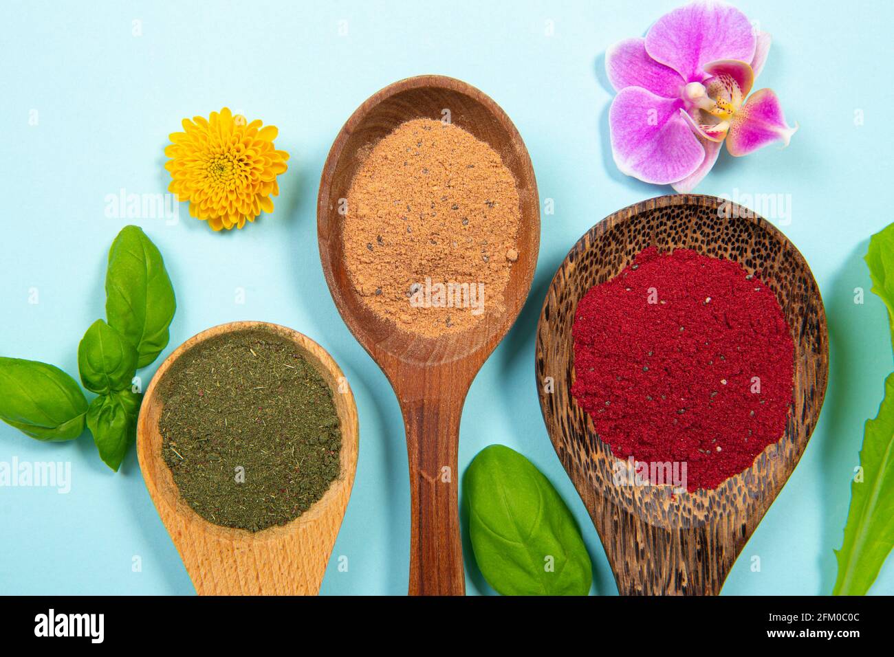 Vista piatta di varie polveri di supercibo su cucchiaio decorato con fiori e foglie su sfondo blu studio. Rosso brillante, Foto Stock