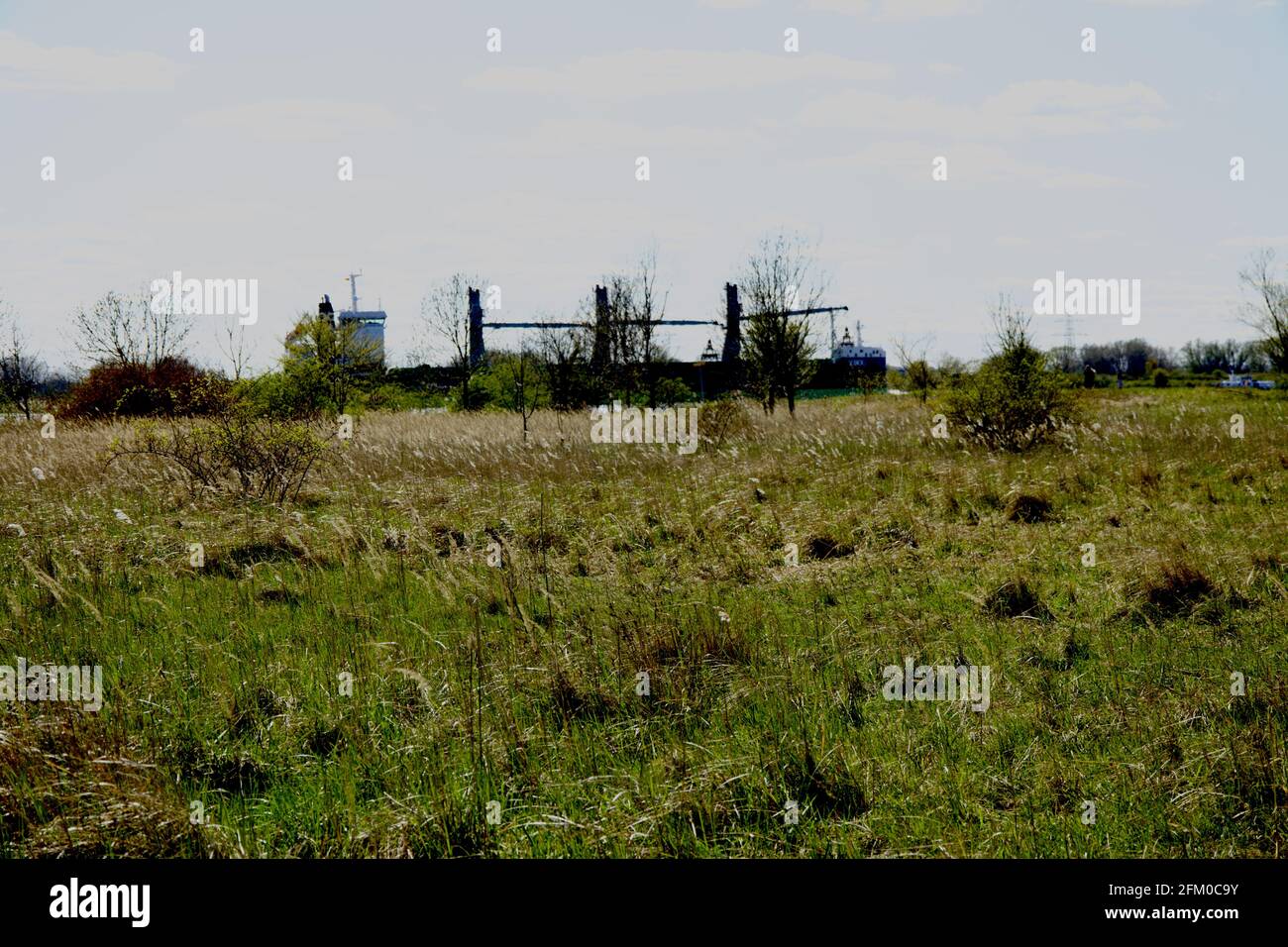 Splendida vista sul campo verde fresco di Schleswig-Holstein, Germania Foto Stock