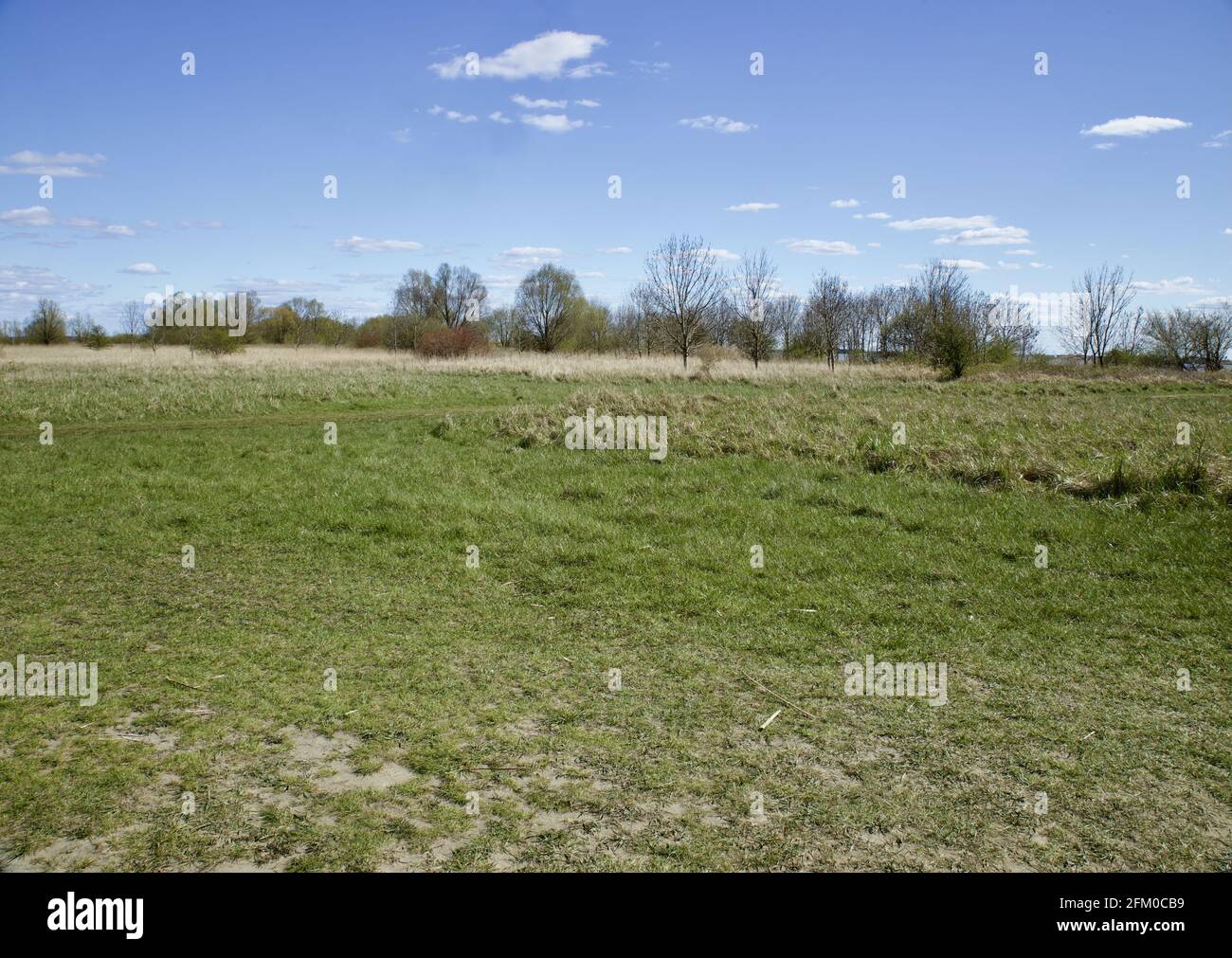 Splendida vista sul campo verde fresco di Schleswig-Holstein, Germania Foto Stock