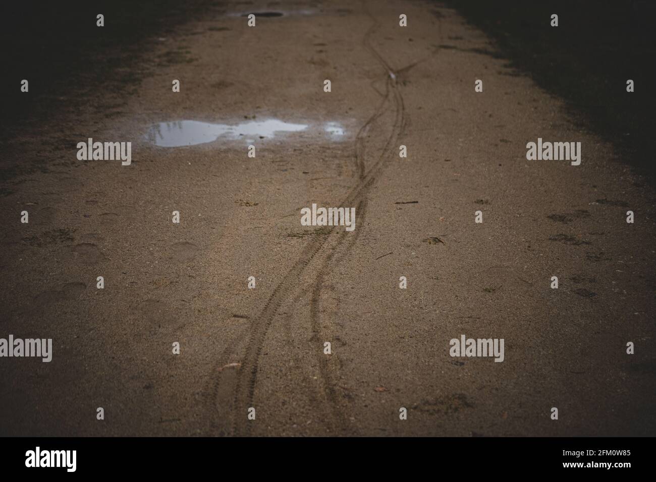 tracce nella sabbia - pneumatici da biciclette e scarpe umane. puddle su ghiaia sentiero Foto Stock