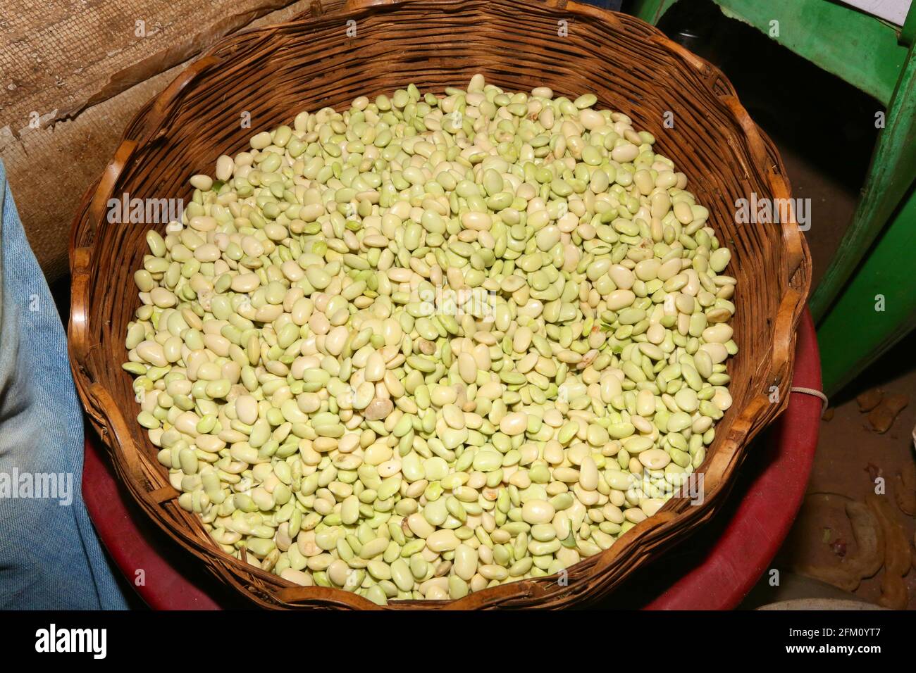 Cesto di bambù pieno di fagioli sparati al villaggio di Boriborivalsa, Araku, Andhra Pradesh, India Foto Stock