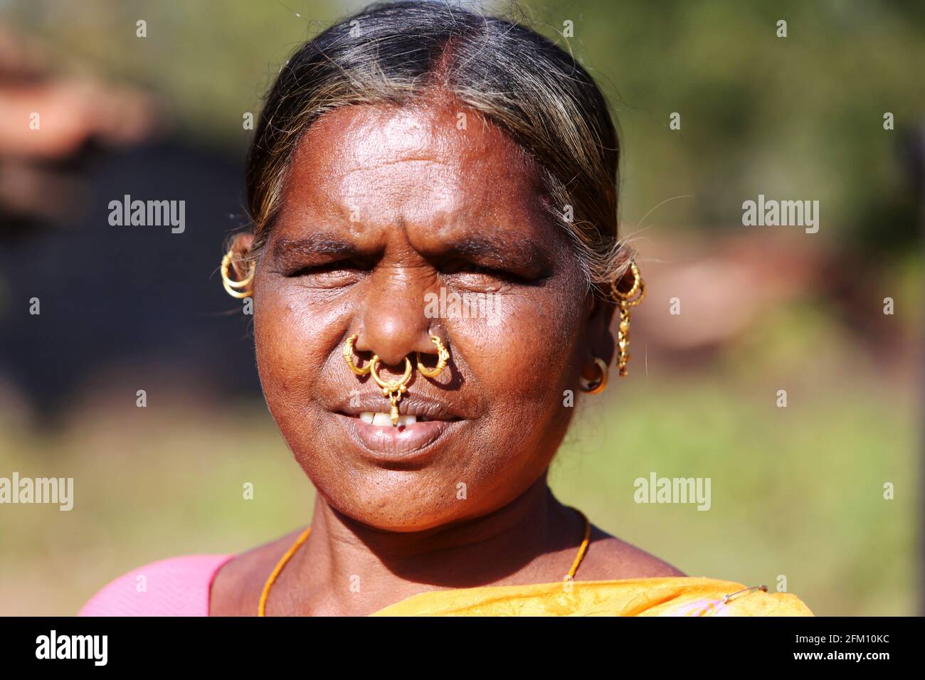 Valmiki tribale donna che indossa tradizionali anelli nasali a Madagada Village, Andhra Pradesh, India Foto Stock