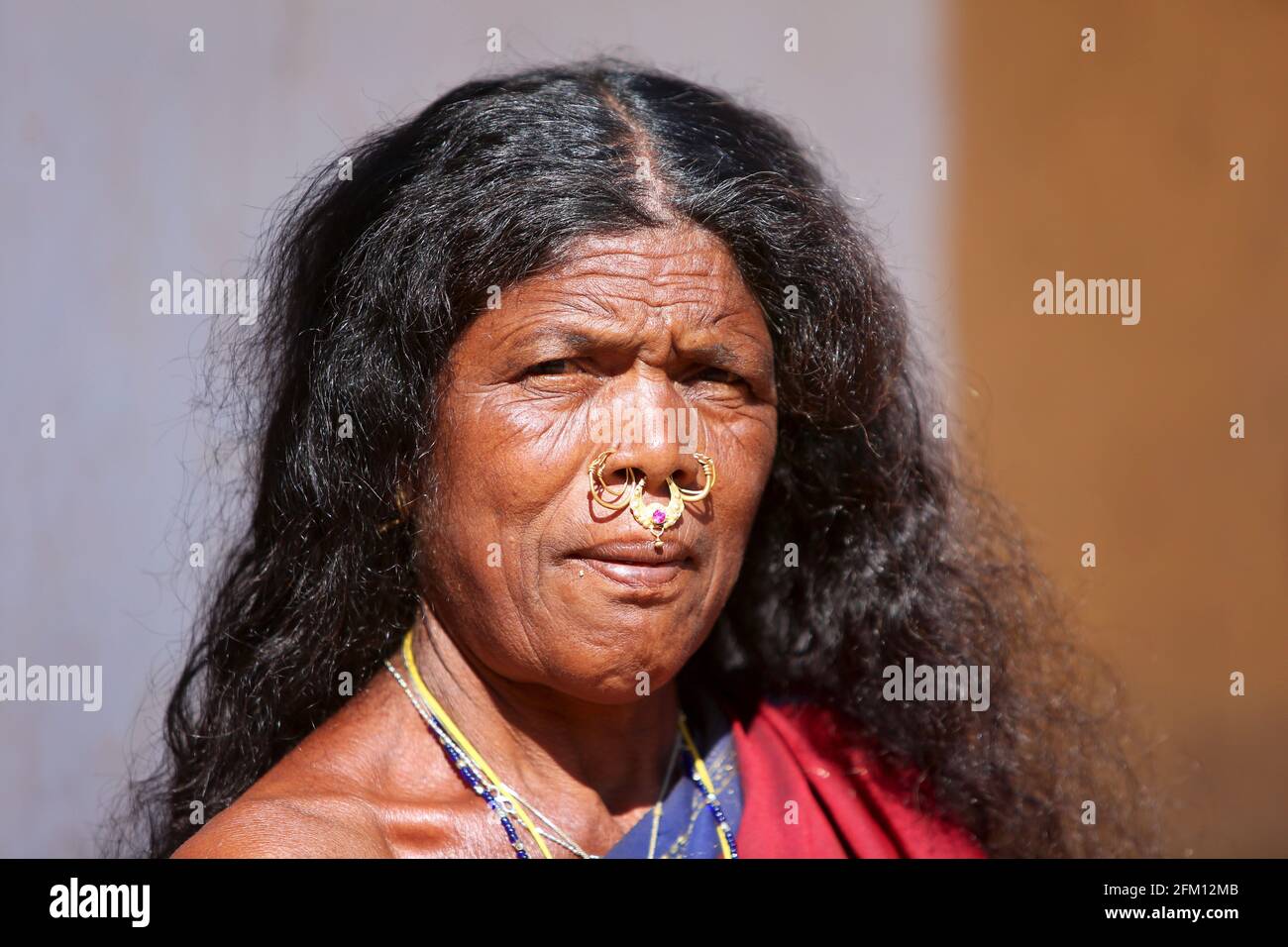 Giovane donna tribale con anelli tradizionali al naso nel villaggio di Sainagar ad Araku, Andhra Pradesh, India. TRIBÙ KONDHU Foto Stock