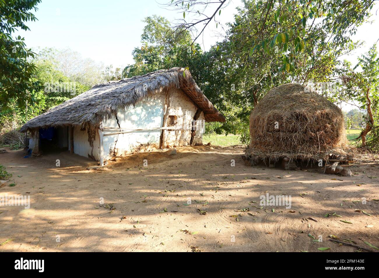 KAPU SAVARA TRIBÙ - Casa - Savitiseedi Village - Andhra Pradesh, India Foto Stock