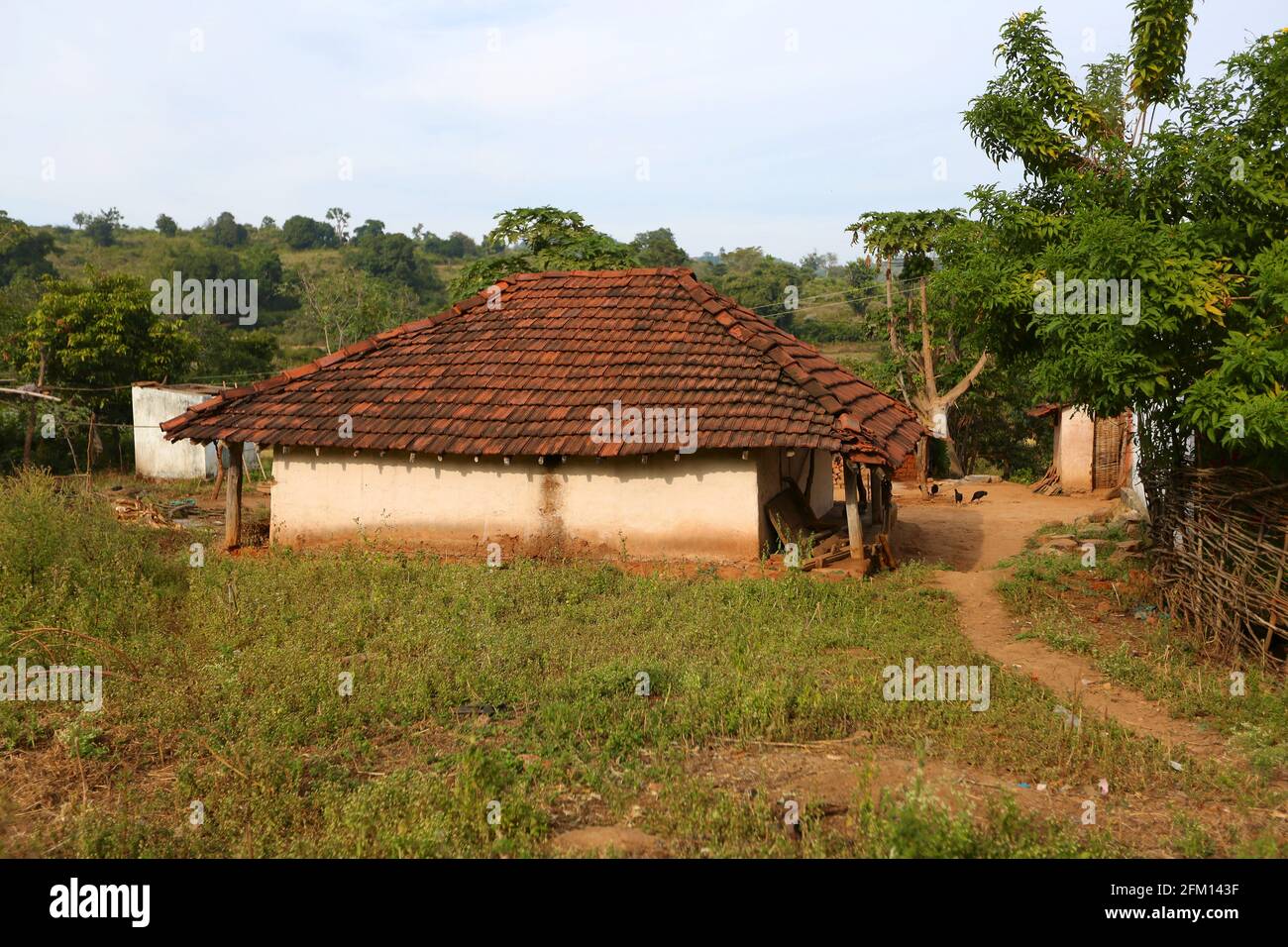 TRIBÙ PARANGIPERJA- Casa di villaggio, Araku, Andhra Pradesh, India Foto Stock