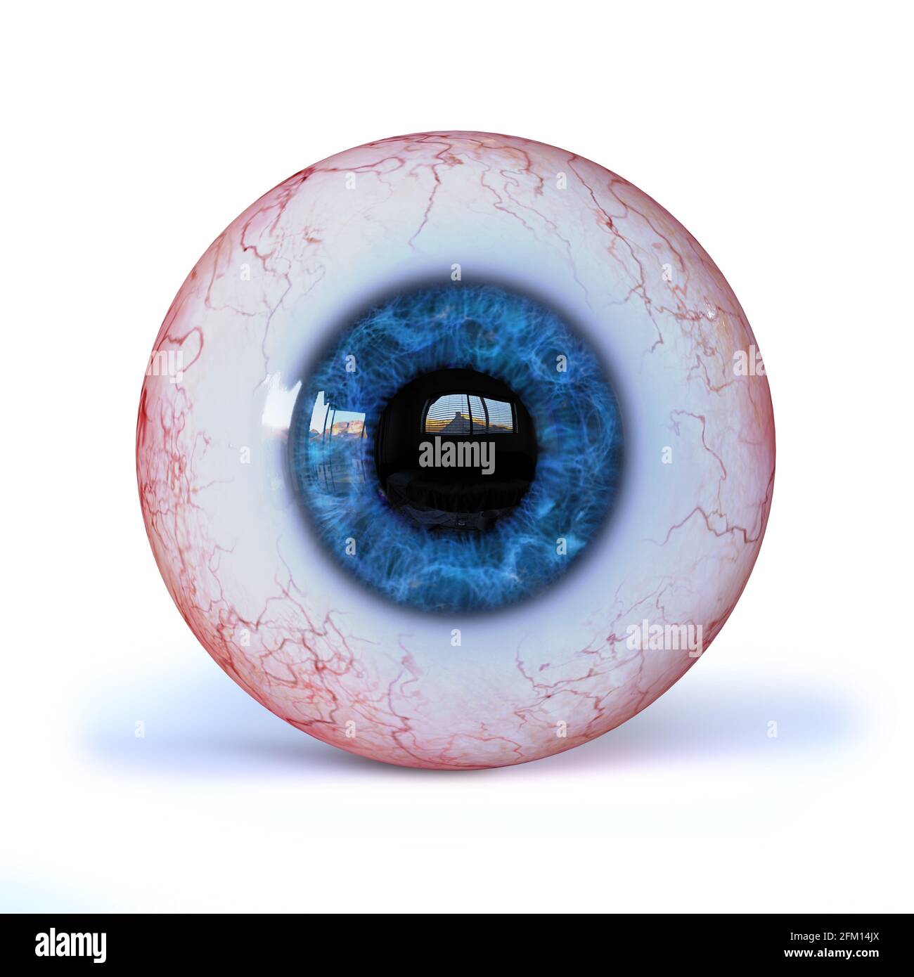 sfera oculare umana realistica con iride blu isolata con ombra sfondo bianco Foto Stock