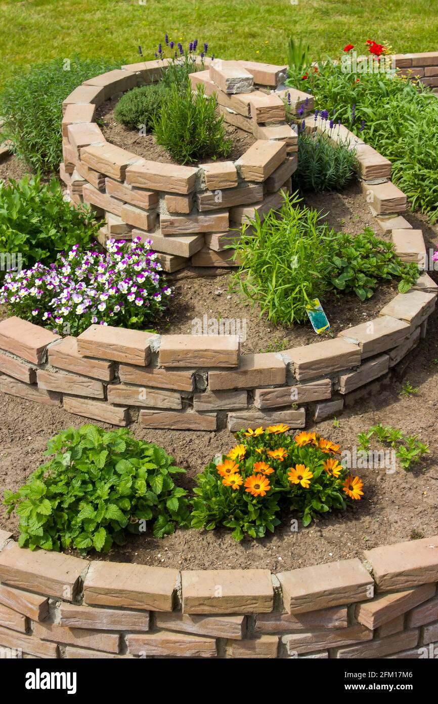 spirale di erbe nel giardino con erbe e fiori Foto Stock