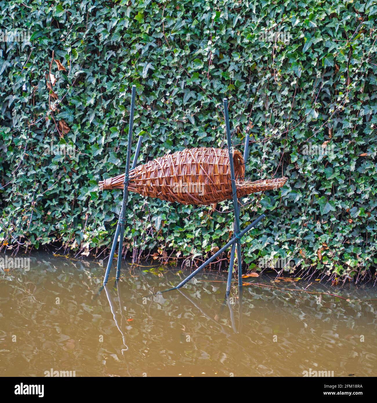 Primo piano di un cestino di nidificazione di anatra in muratura Foto Stock