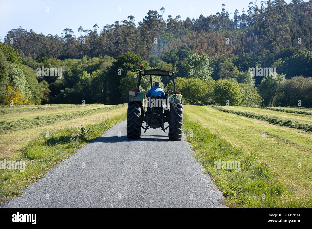 Scena di un vecchio trattore visto da dietro su una strada in un'area rurale. Galizia, Spagna Foto Stock