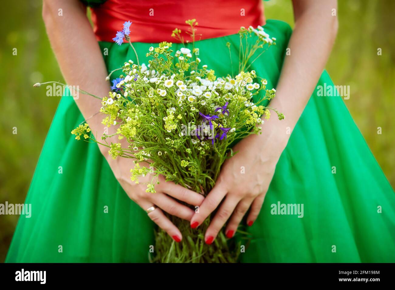 Ragazza in abito verde con manicure rosso tiene un campo selvaggio bouquet di fiori estivi. Primo piano. Ora legale. Concetto di umore estivo. Foto di alta qualità Foto Stock