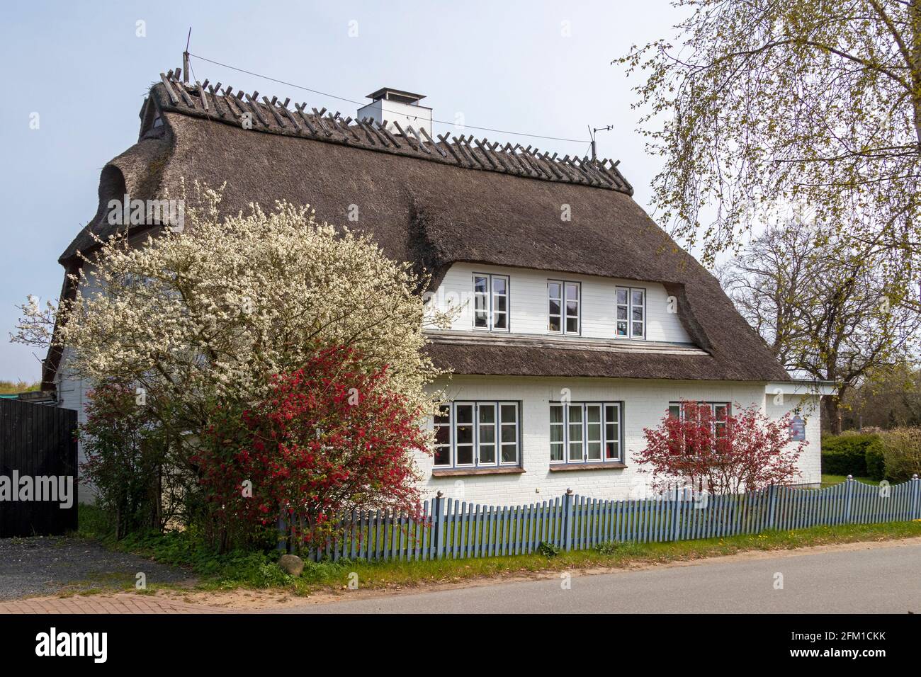 Casa di paglia, Falshöft, Gelting Bay, Schleswig-Holstein, Germania Foto Stock