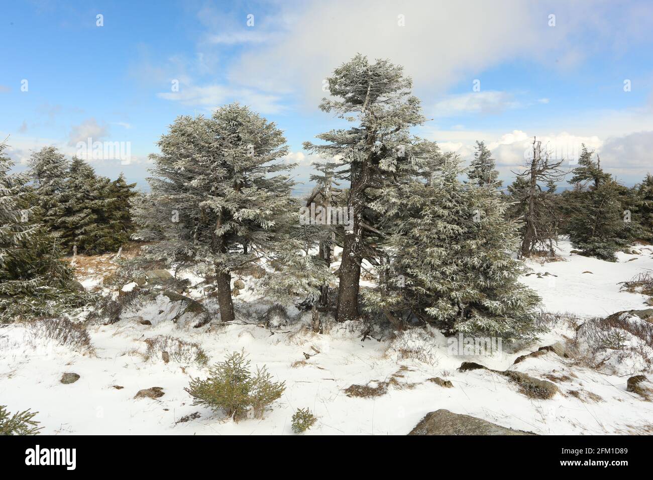 Schierke, Germania. 05 maggio 2021. La leggera nevicata avvolge la vetta del Brocken in un abito da verricello. Con temperature gelide e forti venti raffici, solo pochi visitatori hanno camminato sul Brocken. Attualmente c'è ancora un avvertimento di forti raffiche di vento. Nei prossimi giorni è prevista anche un'ulteriore nevicata. Credit: Matrhias Bein/dpa-Zentralbild/dpa/Alamy Live News Foto Stock