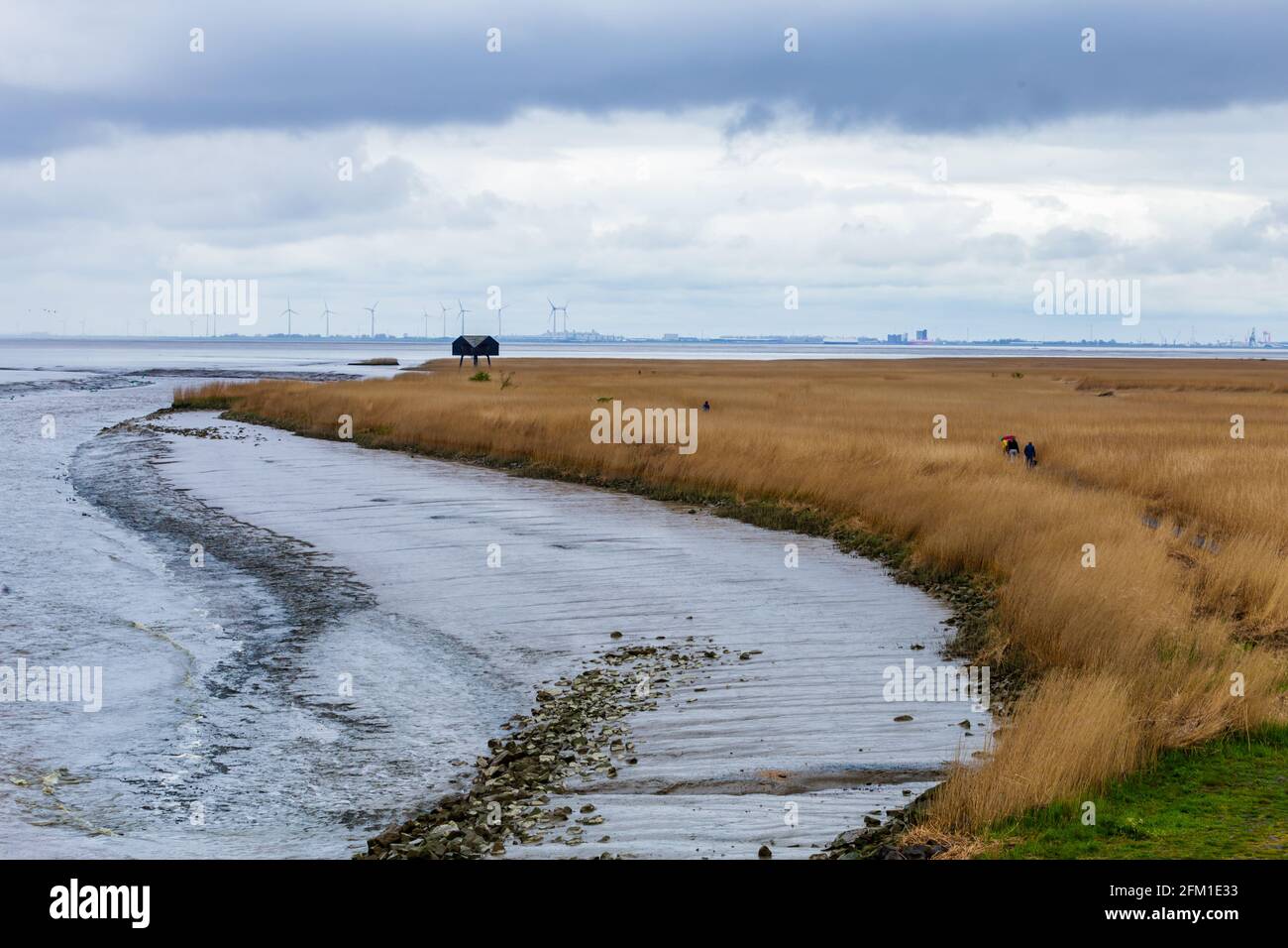 Bird watching Nieuwe Statenzijl nei Paesi Bassi Foto Stock