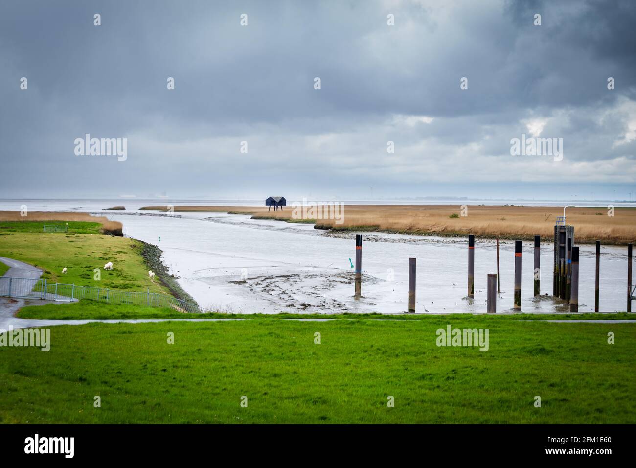 Bird watching Nieuwe Statenzijl nei Paesi Bassi Foto Stock