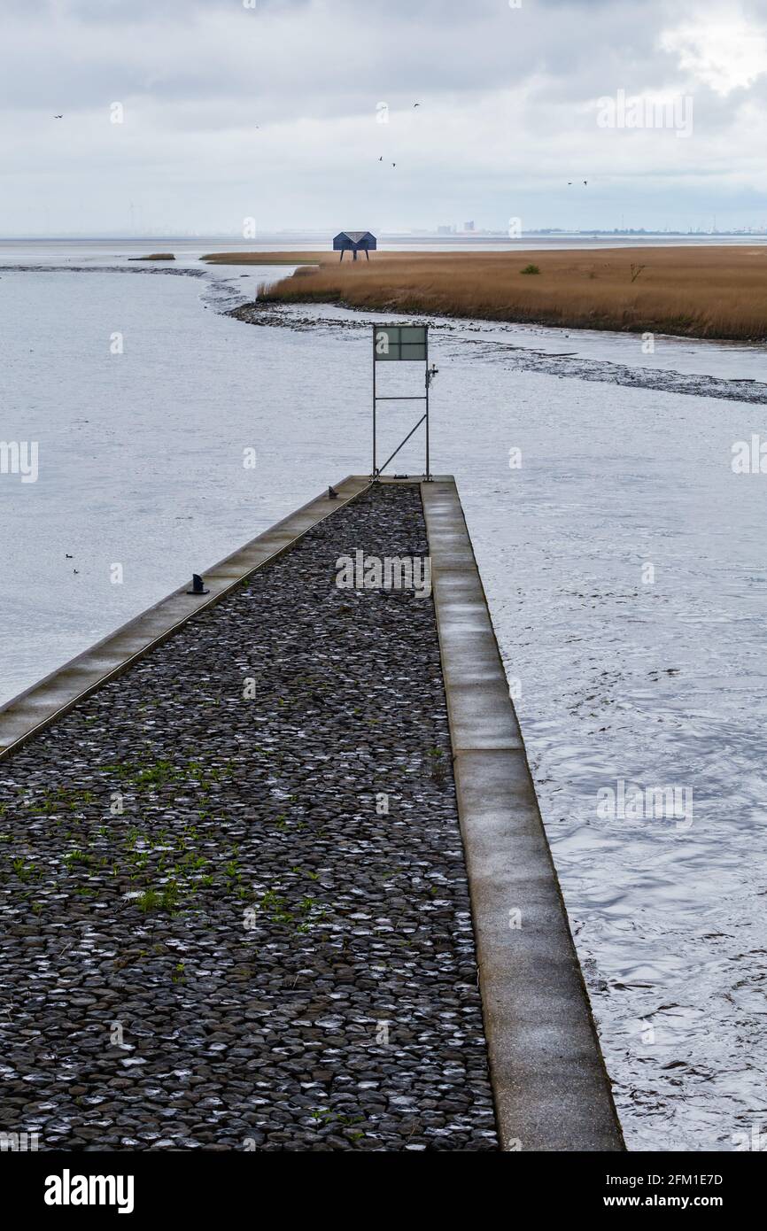 Bird watching Nieuwe Statenzijl nei Paesi Bassi Foto Stock