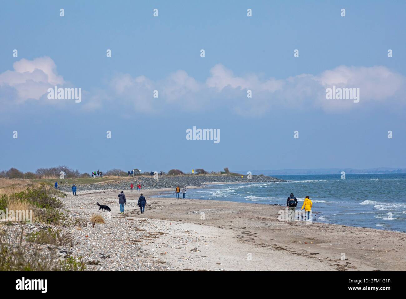 spiaggia, Falshöft, Gelting Bay, Schleswig-Holstein, Germania Foto Stock