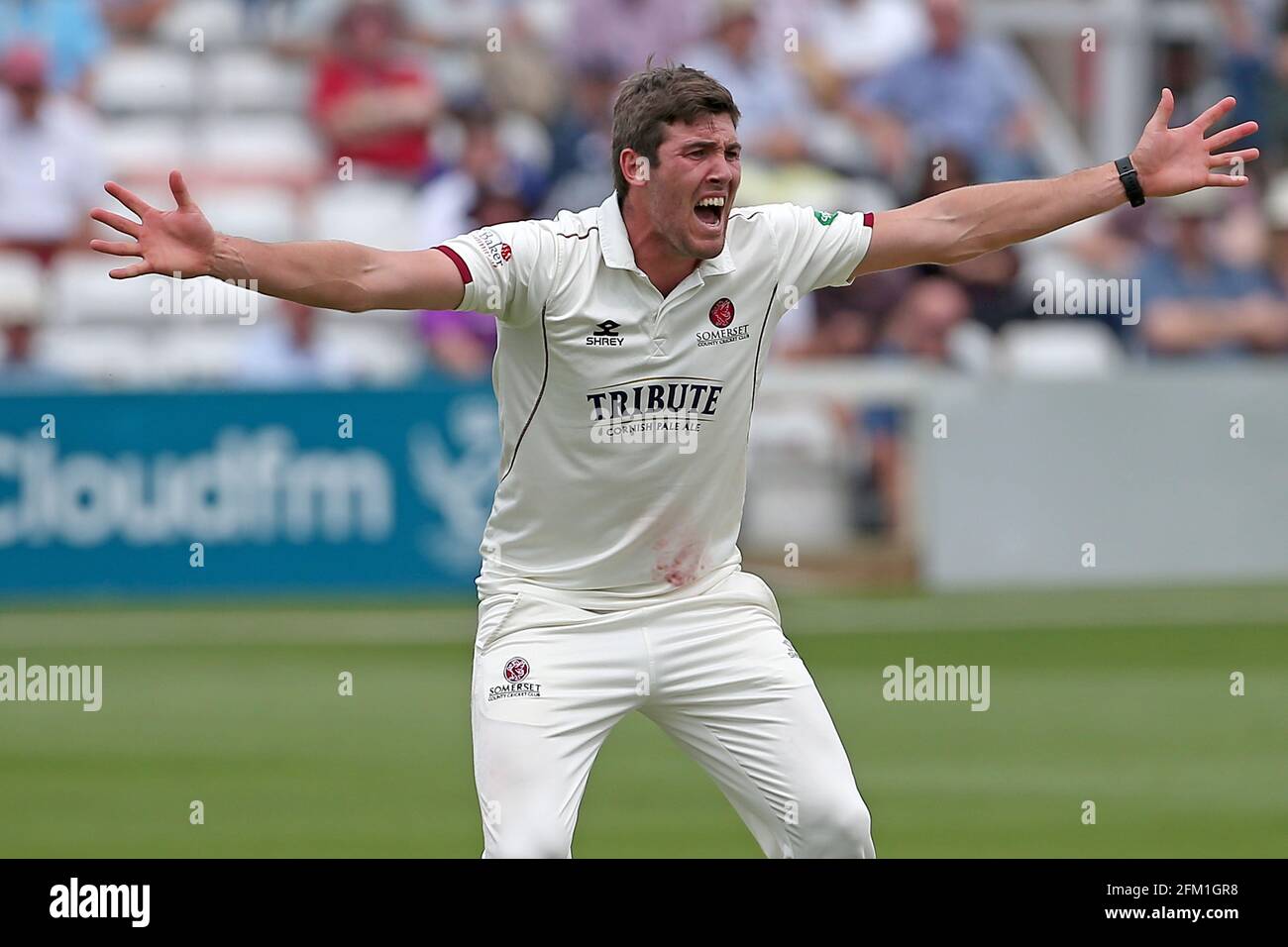 Jamie Overton di Somerset con un appello per un wicket durante Essex CCC vs Somerset CCC, Specsavers County Championship Division 1 Cricket at the Cloud Foto Stock