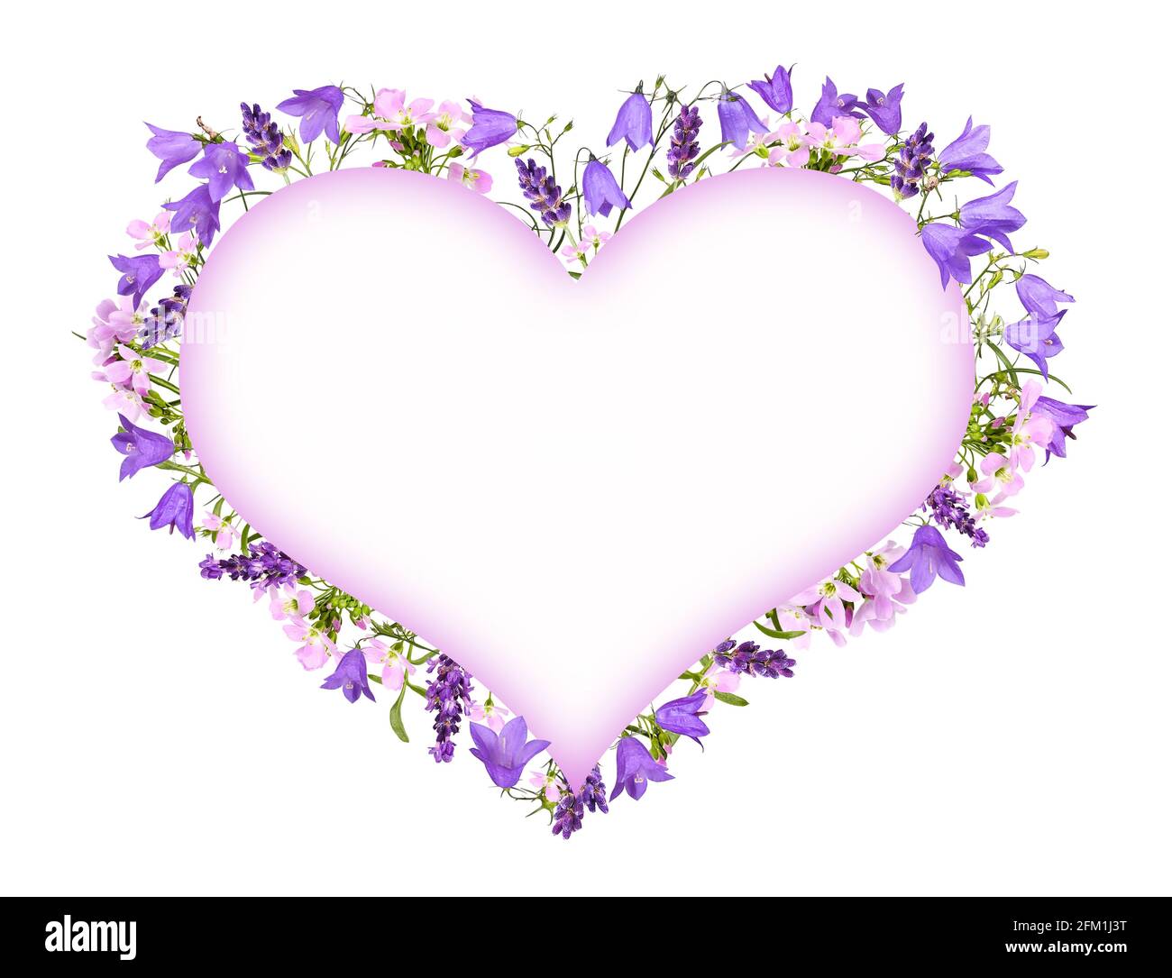 Fiori di Bellflowers e fiori di prato come una cornice di cuore Foto Stock