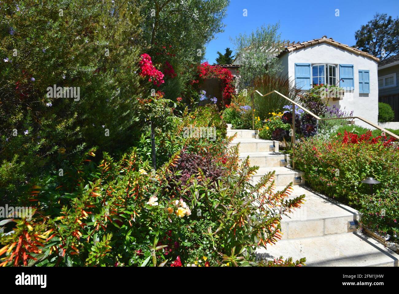 Paesaggio con un cottage fiaba circondato da cipressi e un giardino tropicale da sogno alla periferia di Carmel-by-the-Sea in California, Stati Uniti. Foto Stock