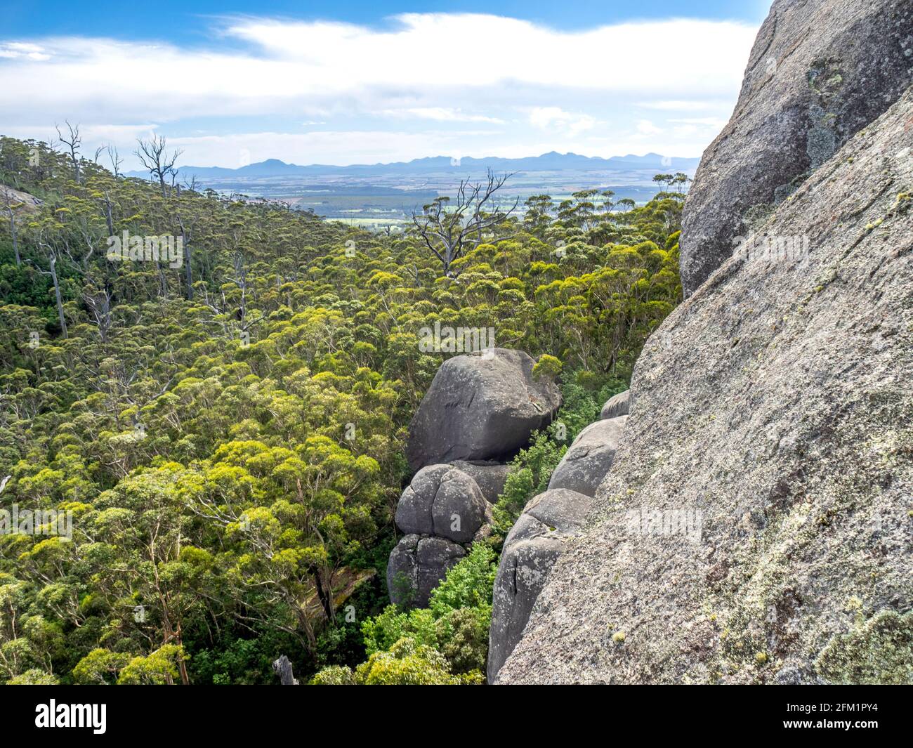 La foresta di Karri sulla catena montuosa di Porongurup e terreni agricoli visti dal Castle Rock Walk Trail nel Porongurup National Park vicino ad Albany Western Australia. Foto Stock