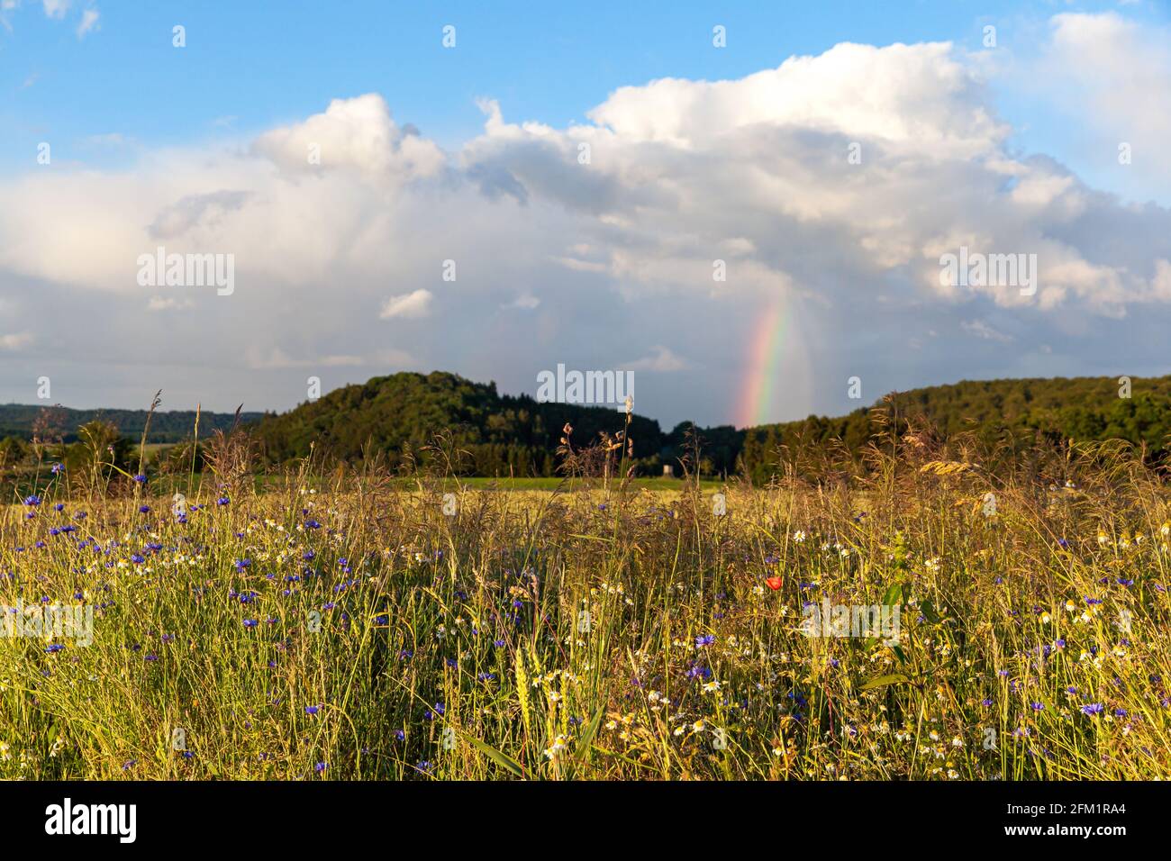 Import und Export sowie Verkaufnahme mit Waren aller Art Foto Stock