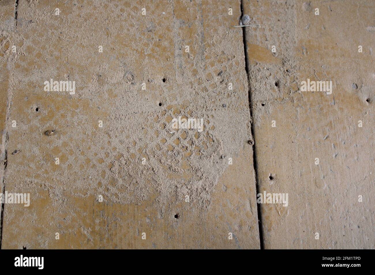 Impronte in polvere di legno su un piano di legno vecchio Foto Stock