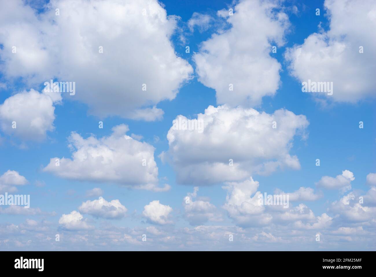 Cumulus nuvole in un cielo blu con bianche nuvole soffici sfondo bianco nuvole blu cielo bianco nuvole solo uk Foto Stock