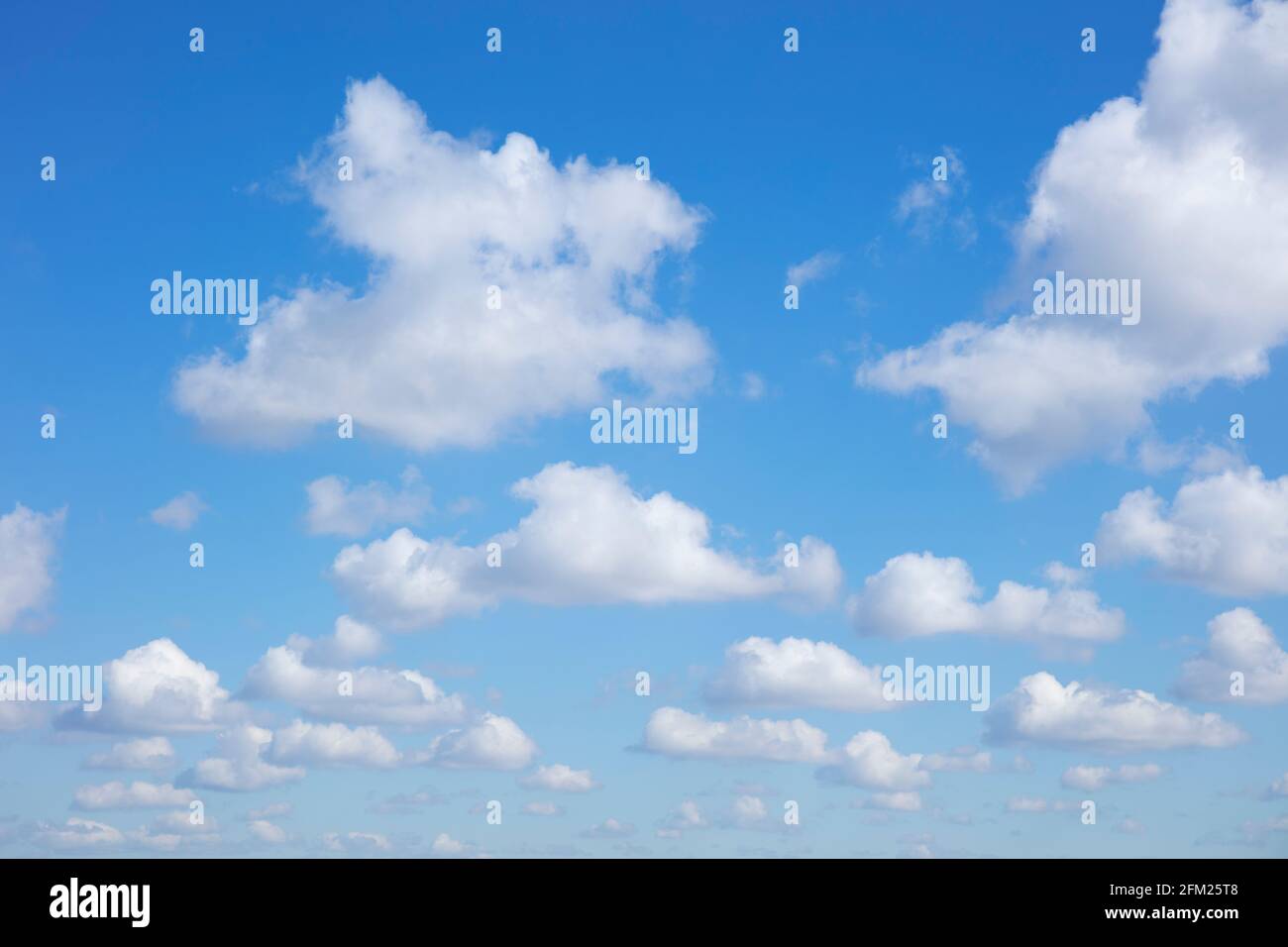 Cumulus nuvole in un cielo blu con bianche nuvole soffici sfondo bianco nuvole blu cielo bianco nuvole solo uk Foto Stock