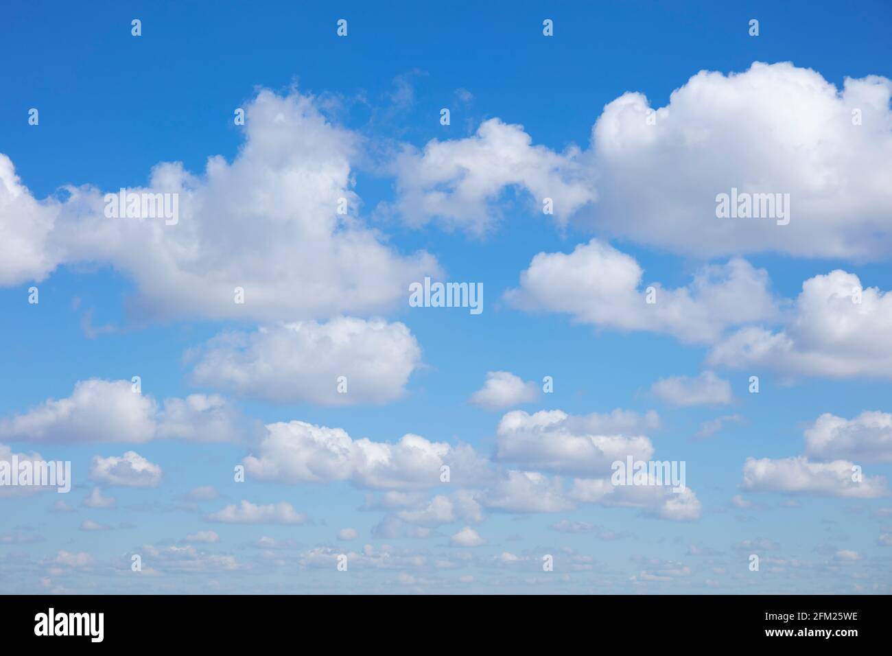 Cumulus nuvole in un cielo blu con bianche nuvole soffici sfondo bianco nuvole blu cielo bianco nuvole solo uk Foto Stock