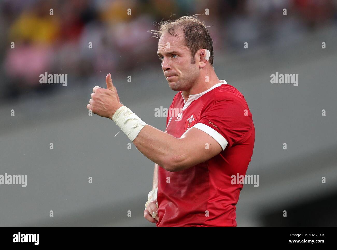 File foto datata 29-09-2019 di Alun Wyn Jones. Data di emissione: Mercoledì 5 maggio 2021. Foto Stock