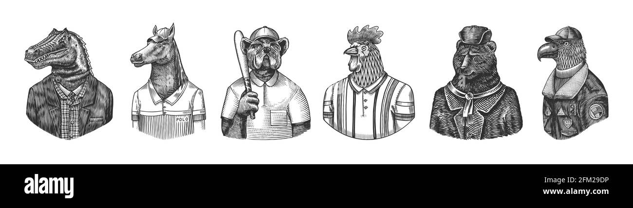 Pilota dell'aviatore Eagle. Il tennista di Rooster Bear in pelliccia russa cappotto e cappello. Cane bulldog giocatore di baseball. Dinosauro tirex Signore. Giocatore di polo cavallo Illustrazione Vettoriale