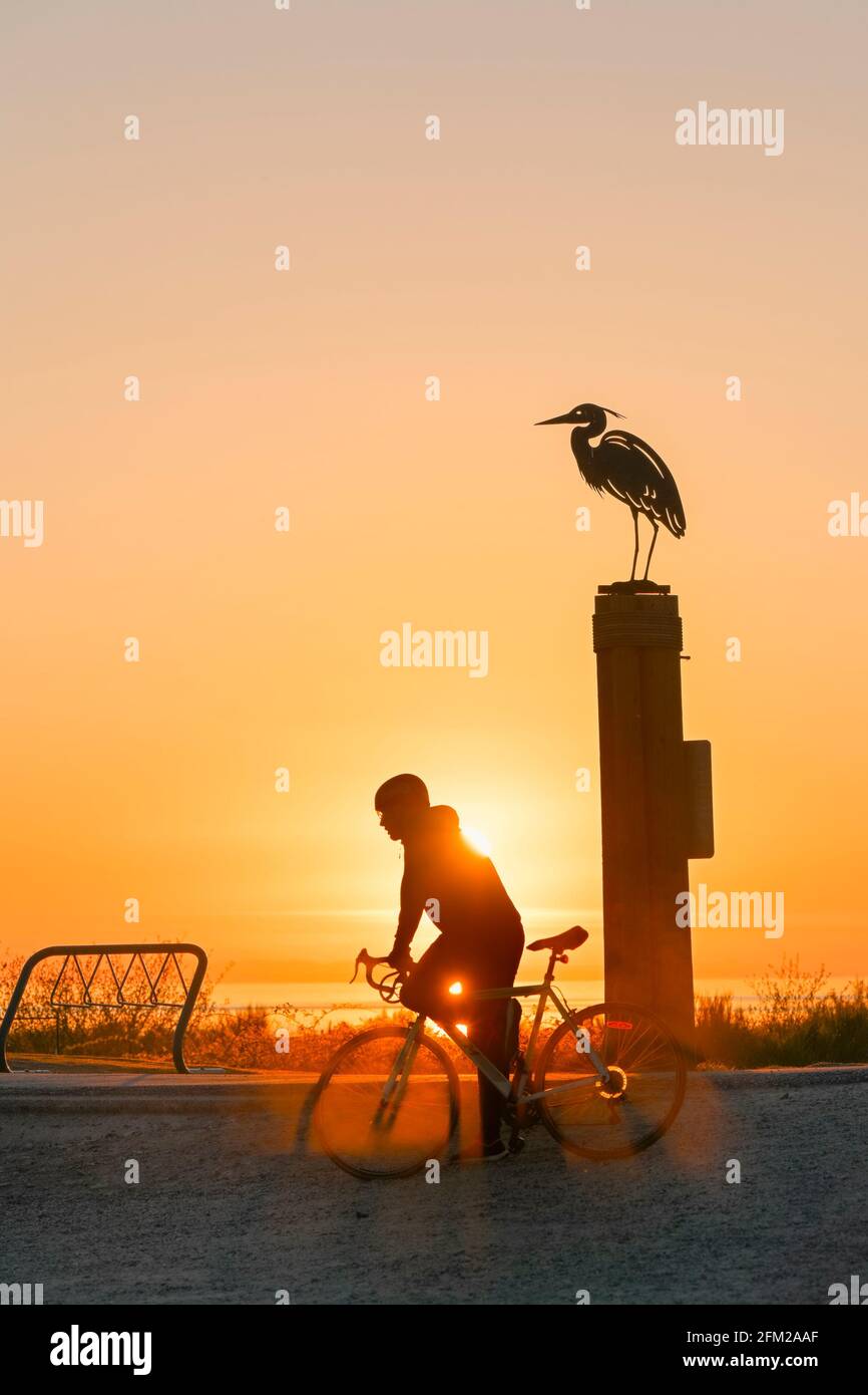 Ciclista, tramonto, Iona Beach Regional Park, Richmond, British Columbia, Canada Foto Stock