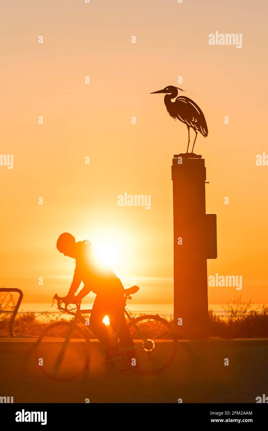 Ciclista, tramonto, Iona Beach Regional Park, Richmond, British Columbia, Canada Foto Stock