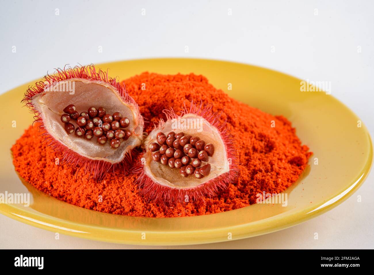 Annatto (Uruco). I suoi semi sono utilizzati come una colorazione naturale alimentare. Foto Stock