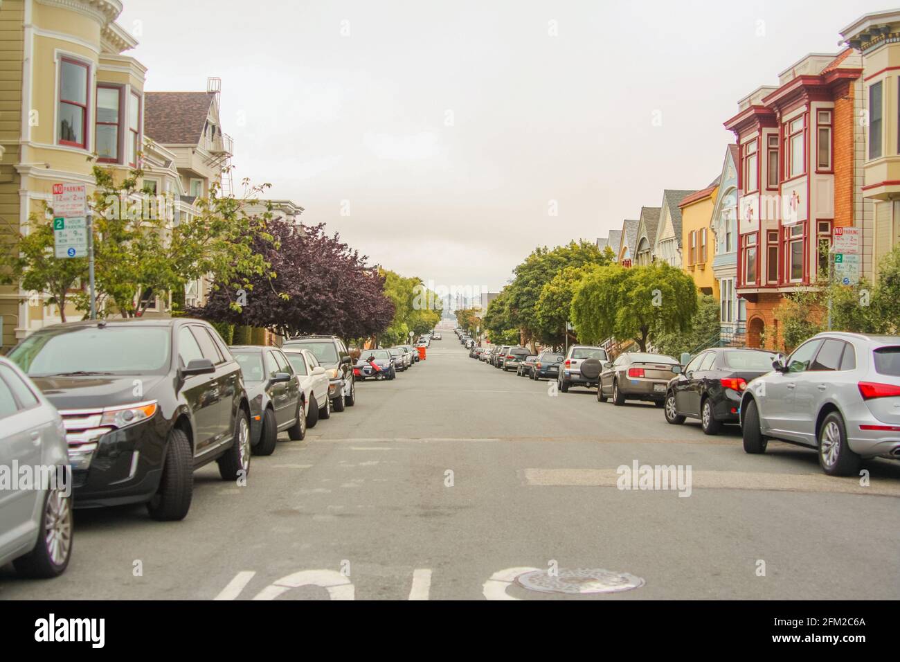 Inquadratura orizzontale di una bella strada con alberi, auto parcheggiate e tradizionali case di San Francisco su entrambi i lati, California - Stati Uniti d'America Foto Stock