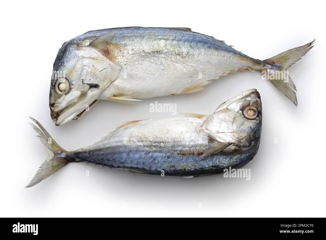 sgombro corto al vapore thai isolato su sfondo bianco Foto Stock