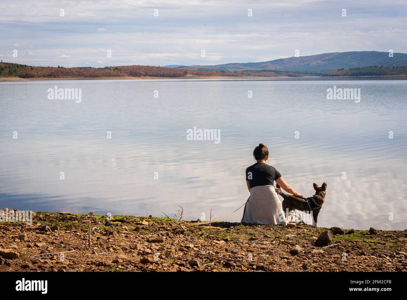 Donna e cane marrone vicino al lago su un bellissimo vista orizzontale Foto Stock