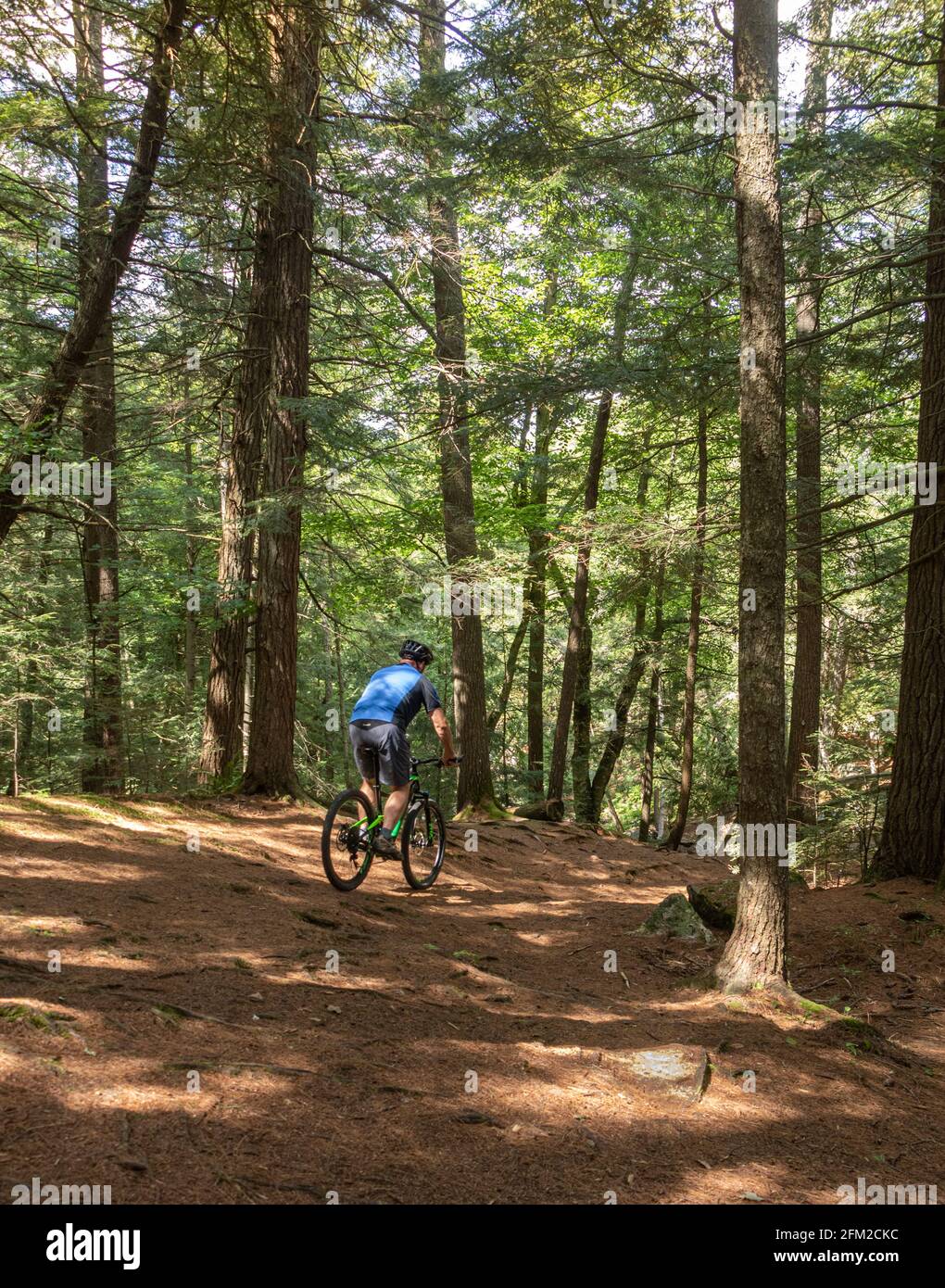 Mountain bike sul percorso High Falls a Bracebridge, Ontario Foto Stock