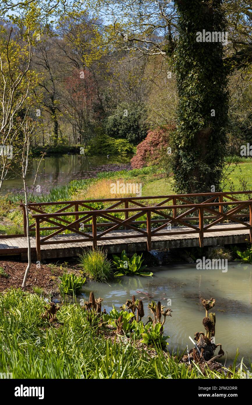 I giardini della Royal Horticultural Society a Rosemoor nel Devon del Nord Foto Stock