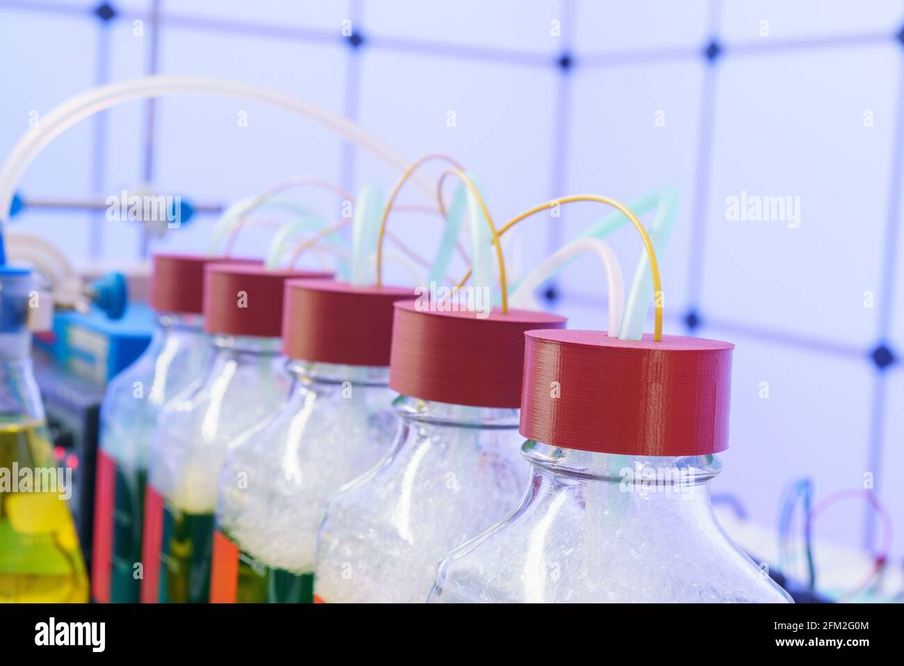 Esperimenti con l'ottenimento di elettricità e batteri che processano rifiuti industriali. Laboratorio di energia elettrica ecologica Foto Stock