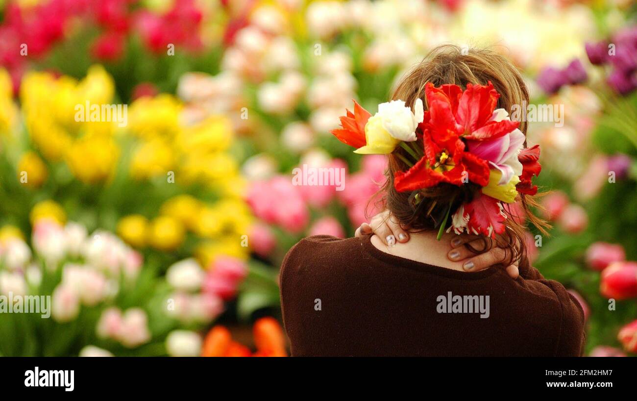 Sara Turner del Bloms Bulbs Primrose Nursery mostra fixes una disposizione floreale nei suoi capelli durante gli ultimi pochi Ore di preparazione al Chelsea Flower Show che apre Domani.19 Maggio 2002 foto Andy Paradise Foto Stock