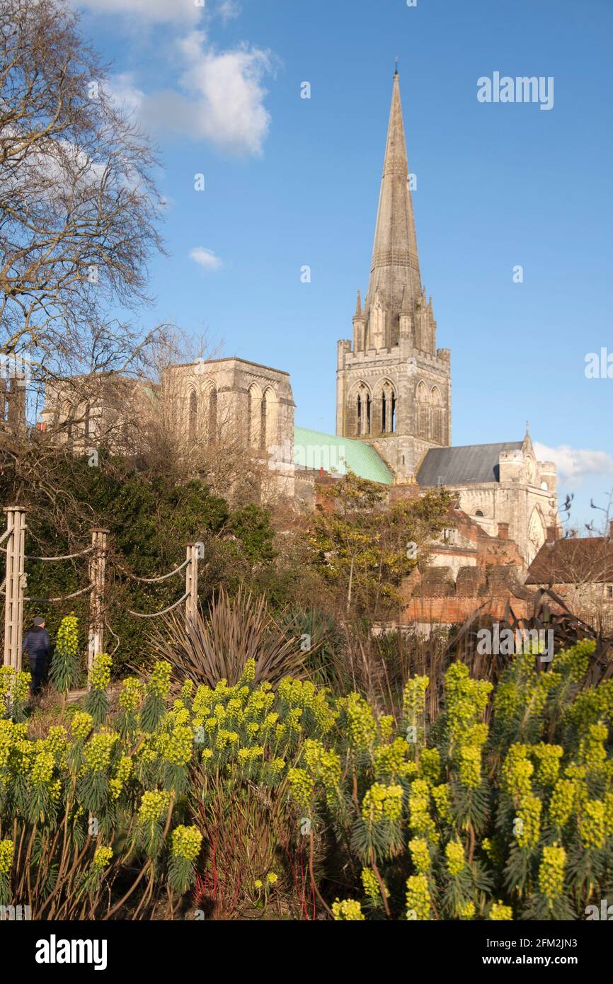 Chichester Cathedral dai vescovi nei giardini del palazzo, West Sussex, in Inghilterra Foto Stock