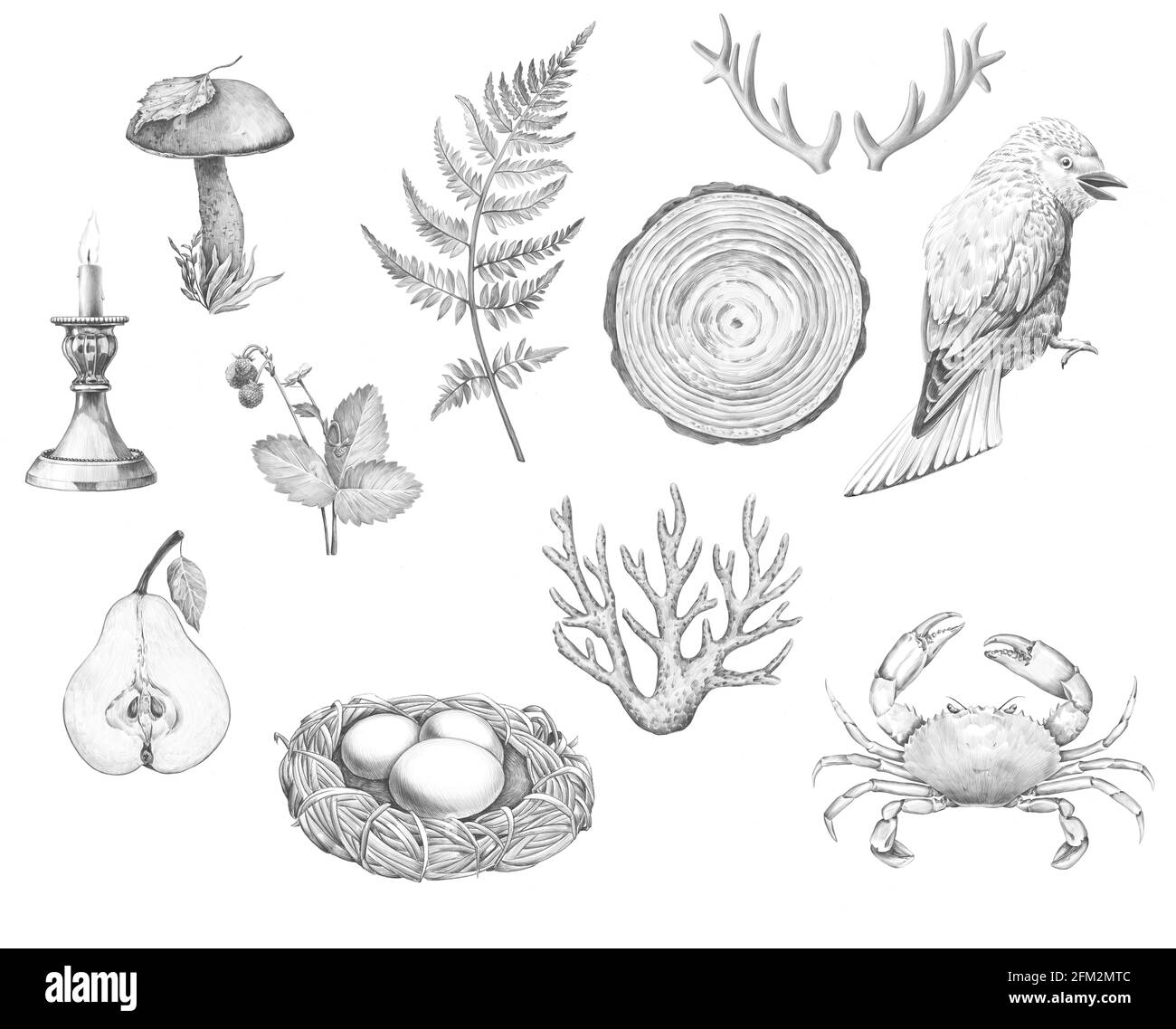 Illustrazione a matita disegnata a mano. Oggetti disegno a mano modello isolato su bianco. Tatoo in bianco e nero Foto Stock