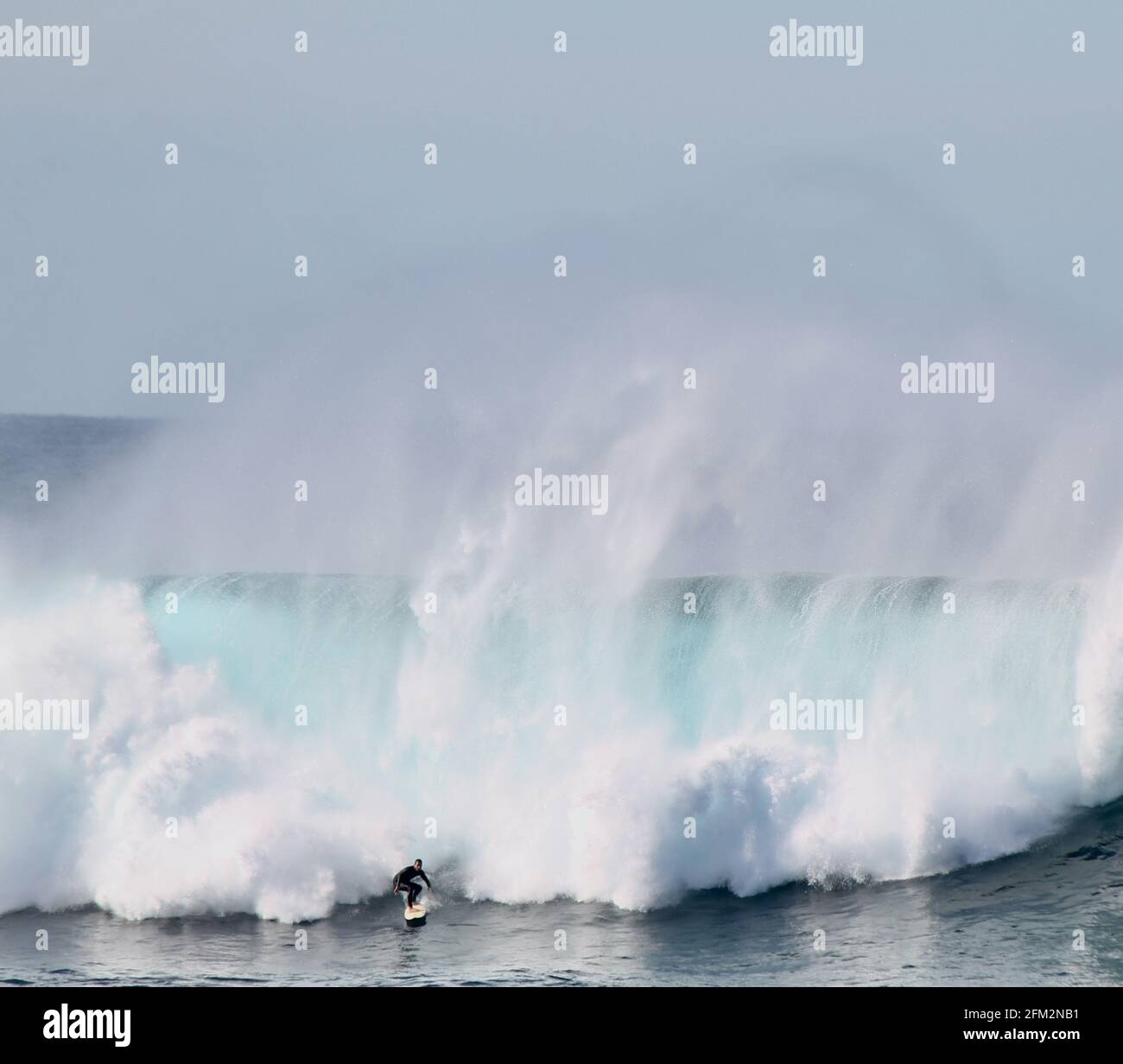 SYDNE, AUSTRALIA - 25 maggio 2016: Surfista australiano che discende un'onda gigante alla spiaggia di Coogee tra le spiagge di Bondi e Maroubra a sud di Sydney A. Foto Stock