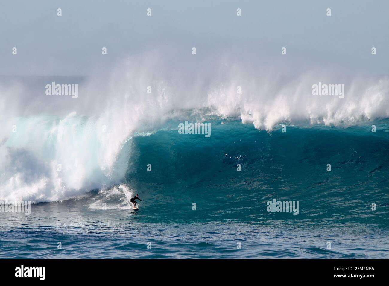 SYDNE, AUSTRALIA - 25 maggio 2016: Surfista australiano che discende un'onda gigante alla spiaggia di Coogee tra le spiagge di Bondi e Maroubra a sud di Sydney A. Foto Stock